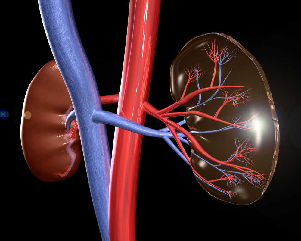 How Diabetes Affects the Kidneys