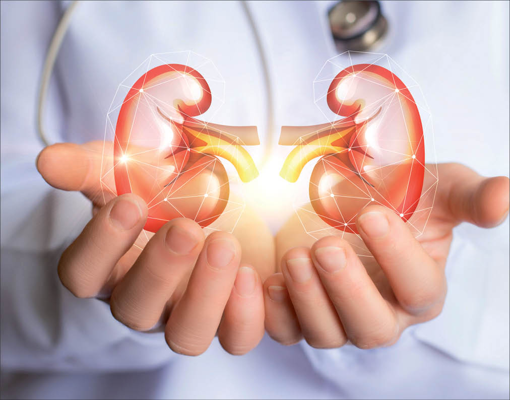 How Diabetes Affects the Kidneys