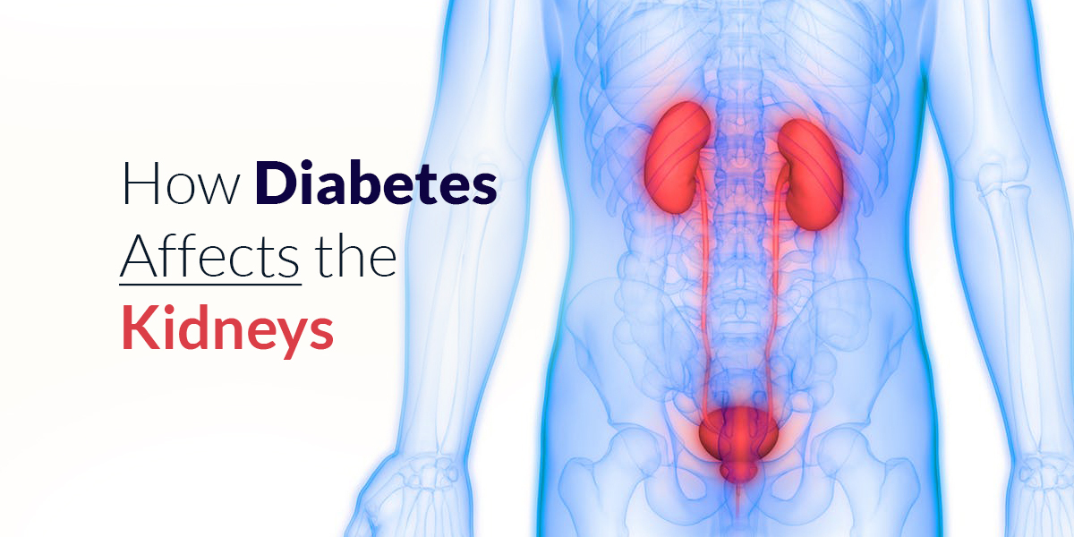 How Does Diabetes Mellitus Cause Kidney Failure